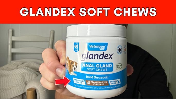 Glandex Anal Gland Soft Chew Treats with Pumpkin for Dogs Digestive Enzymes, Probiotics Fiber Supplement for Dogs 