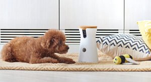 Furbo 360° Dog Camera + Nanny Bundle