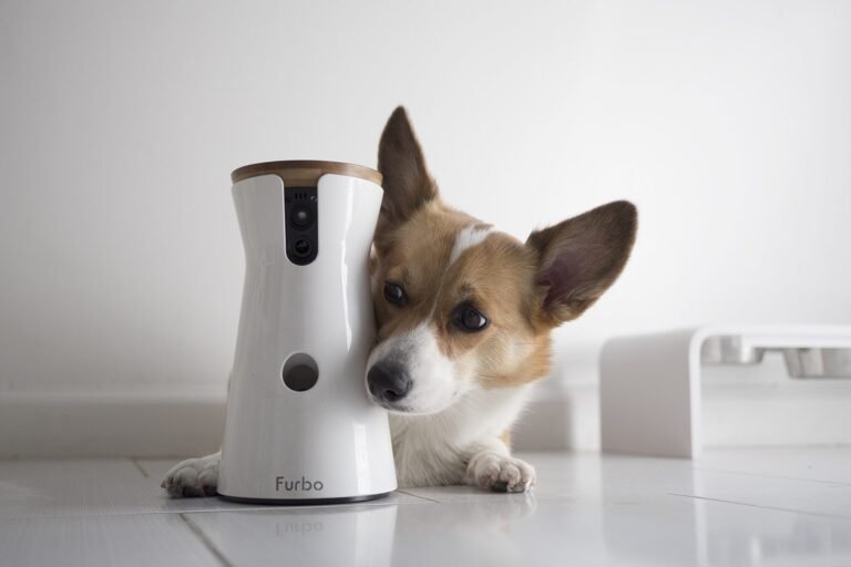 Furbo 360° Dog Camera + Nanny Bundle: