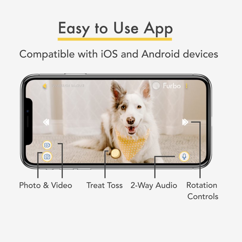 Best Pet Camera for Pet security